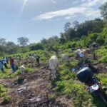 Goudomp : un sexagénaire tué par balle lors d’un vol de bétail à Dioudoubou